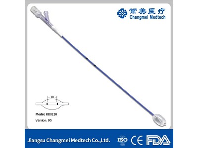 ꯑꯦꯟꯗꯣꯁ꯭ꯀꯣꯞ ꯑꯦꯛꯁꯦꯁꯔꯤꯖꯒꯤ ꯄ꯭ꯔꯣꯁꯦꯁ ꯐ꯭ꯂꯣꯒꯤ ꯑꯦꯅꯥꯂꯥꯏꯁꯤꯁ