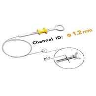 ꯗꯥꯏꯖꯦꯁ꯭ꯇꯤꯕ ꯇ꯭ꯔꯦꯛ ꯕꯥꯏꯑꯣꯞꯁꯤ ꯐꯣꯔꯁꯦꯁ .