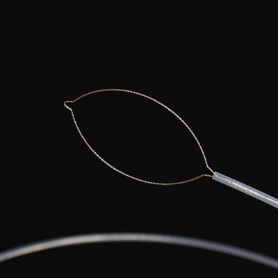 ꯖꯑꯣ ꯃꯈꯂꯒꯤ ꯐꯣꯔꯦꯟ ꯕꯣꯗꯤ ꯐꯣꯔꯁꯦꯁ .