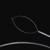 ꯖꯑꯣ ꯃꯈꯂꯒꯤ ꯐꯣꯔꯦꯟ ꯕꯣꯗꯤ ꯐꯣꯔꯁꯦꯁ .